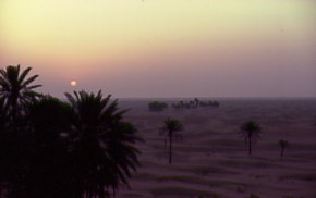 Desert sun-rise