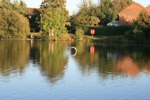 Singleton Lake